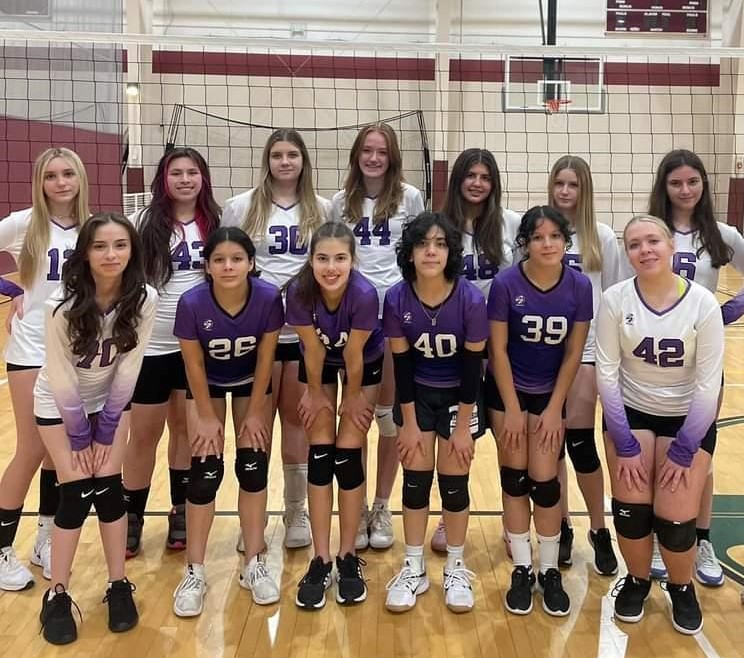 15U Purple - Dynamic Impact Volleyball Club